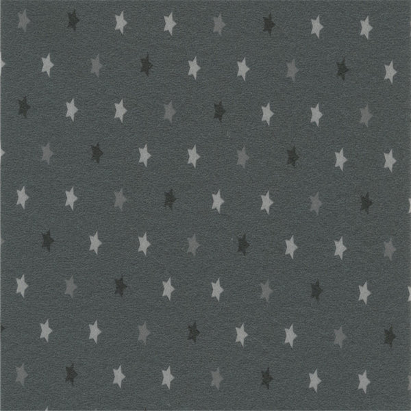 STARS-0744 Anthracite