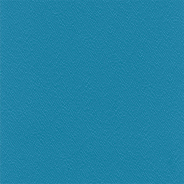 6261 Blue