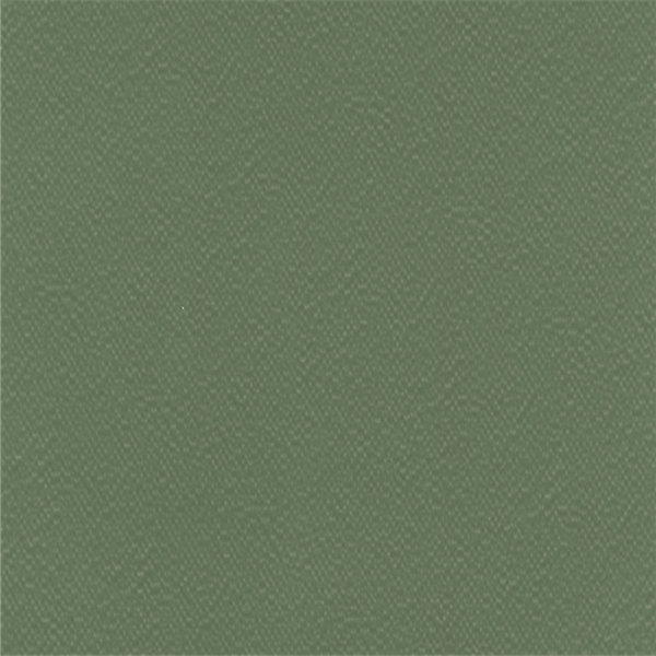 6264 Olive