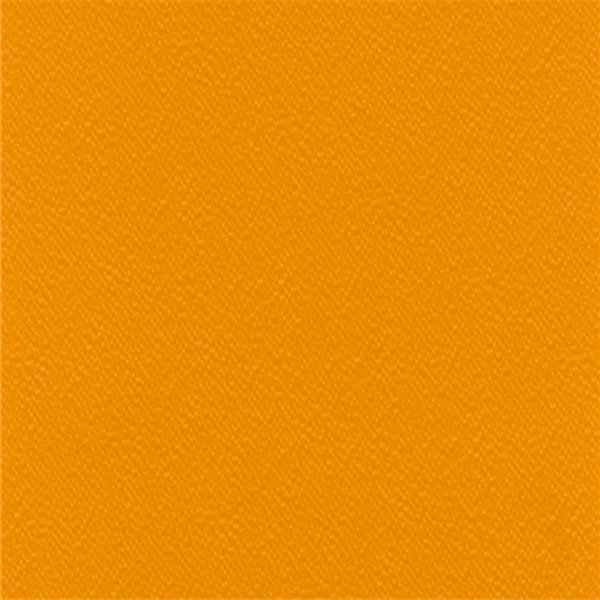 6269 Orange