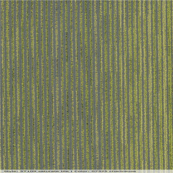 5T109_07325_MAIN