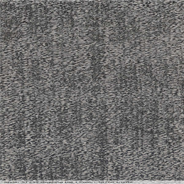 5T239_38760_MAIN